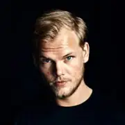 Фото: Avicii