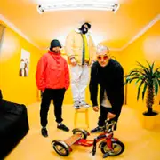 Фото: Грибы