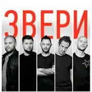 Фото: Звери