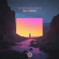 Обложка: Tungevaag & Callon - All I Need