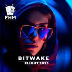 Обложка: Bitwake - Flight 3033