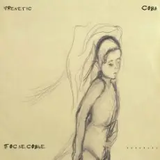 Обложка: FReNeTIC - Из пепла