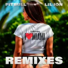 Обложка: Pitbull & Lil Jon - Damn I Love Miami (Apollo XO Remix)