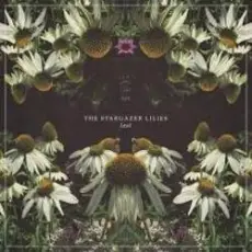 Обложка: Lost World - Stargazer