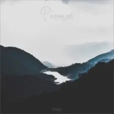 Обложка: Nomyn - Promise