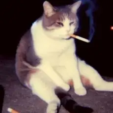 Обложка: Lenar - Otro Trago