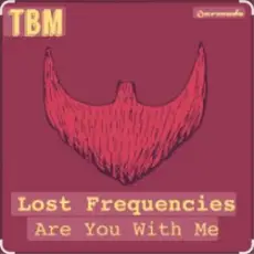 Обложка: Lost Frequencies - Are You With Me