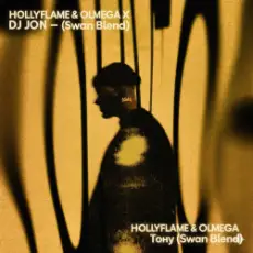 Обложка: HOLLYFLAME & OLMEGA X DJ JON - Тону (Swan Blend)
