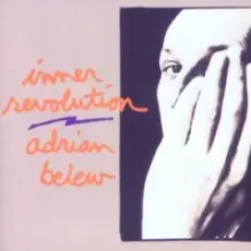 Обложка: Adrian Belew and Billy Sherwood - Is There Anybody Out There