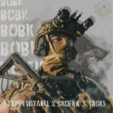 Обложка: Гаррі Шульц & SKOFKA & Yaski - Вовк
