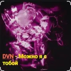 Обложка: DVN - Можно я с тобой