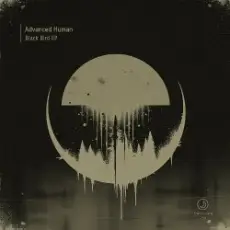 Обложка: Skyraid UK meets DJ Mac - Dreams Do Come True (Extended Mix)