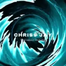 Обложка: Chriss Jay - Too Many Snakes