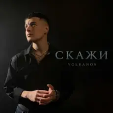 Обложка: Volkanov - Скажи