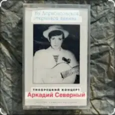 Обложка: Аркадий Северный - Алёшка жарил на баяне