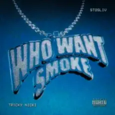 Обложка: Tricky Nicki & STOSLIV - Who Want Smoke?