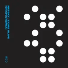 Обложка: Netsky - Come Alive (Grafix Remix)