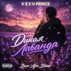 Обложка: V $ X V PRiNCE x Happy Deny & Rodionov1977 – Дикая Лаванда (DJ Bars (Kz) Radio Edit)