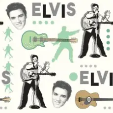 Обложка: Elvis Presley - Such a Night