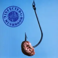 Обложка: Infected Mushroom - Elevation