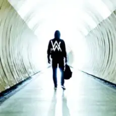 Обложка: Alan Walker - Faded (The Stickmen Project Remix)