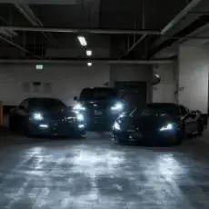 Обложка: TRAP MAFIA HOUSE - No Rush