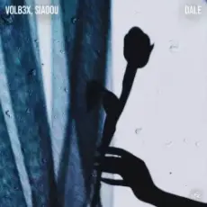 Обложка: VOLB3X & Siadou - Dale