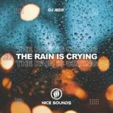 Обложка: DJ JEDY - The Rain Is Crying
