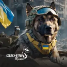 Обложка: Собаки-герої України - Собаки-герої України