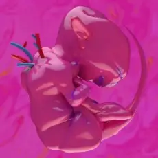 Обложка: Haru Nemuri - Anointment