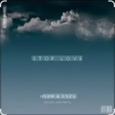 Обложка: DNDM feat. ENZA - Stop Love