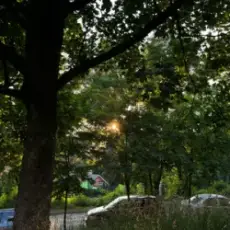 Обложка: ALEKCION - Memories