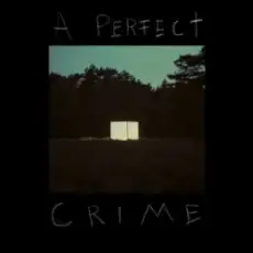 Обложка: Kovacs – A Perfect Crime
