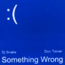 Обложка: DJ Snake & Don Toliver - Something Wrong