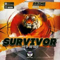 Обложка: Survivor - Eye Of the tiger (Prime Remix)