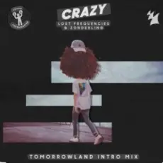 Обложка: Lost Frequencies & Zonderling - Crazy