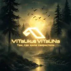 Обложка: ViTaLiKuS - Там, где жили свиристели…