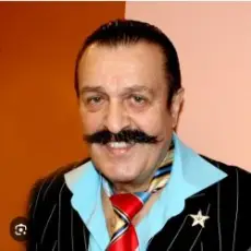 Обложка: Вилли Токарев - Чубчик