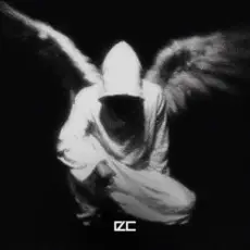 Обложка: Senkya, skyfall beats - wish