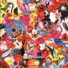 Обложка: Егор Летов - Про дурачка