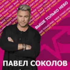 Обложка: Павел Соколов - Зима