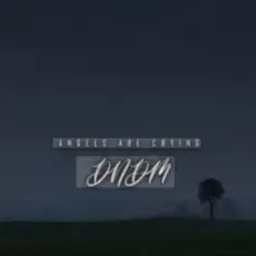 Обложка: DNDM - Angels Are Crying