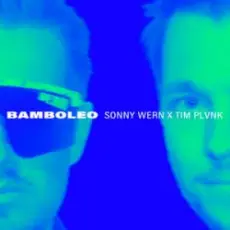 Обложка: Sonny Wern & TIM PLVNK - Bamboleo