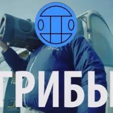 Обложка: Грибы - Тает Лёд