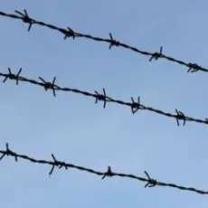 Обложка: KALUSCH & Хайповий - Небо в Концтаборі