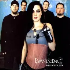 Обложка: Evanescence - Taking Over Me (Live from Cologne)
