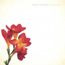 Обложка: Caitlyn Smith - Crushed And Created