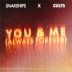 Обложка: Snakehips & Cults – You & Me (Always Forever)
