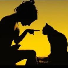 Обложка: Armin van Buuren - Communication (Jon Vesta Remix)