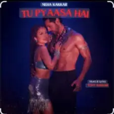 Обложка: Neha Kakkar & Tony Kakkar - Tu Pyaasa Hai